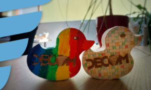 DECOM-Holz-Enten_Entenrennen_2025